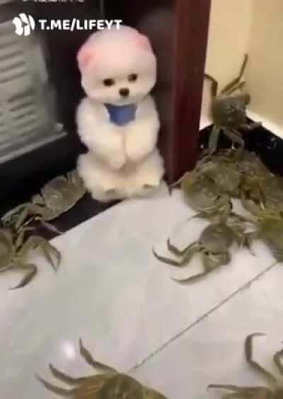 Окружен, но не сломлен.