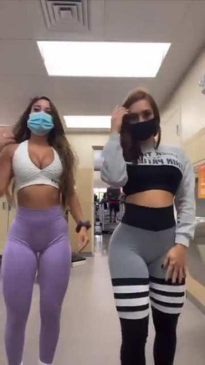 Ansley Pacheco (@ans_leey) [Instagram]