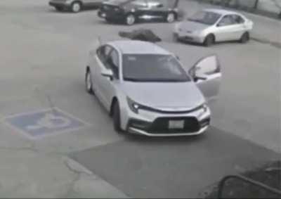 to defend against a bird