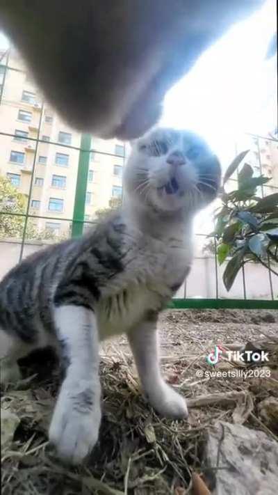 POV: A heated verbal exchange leads to a dramatic pursuit