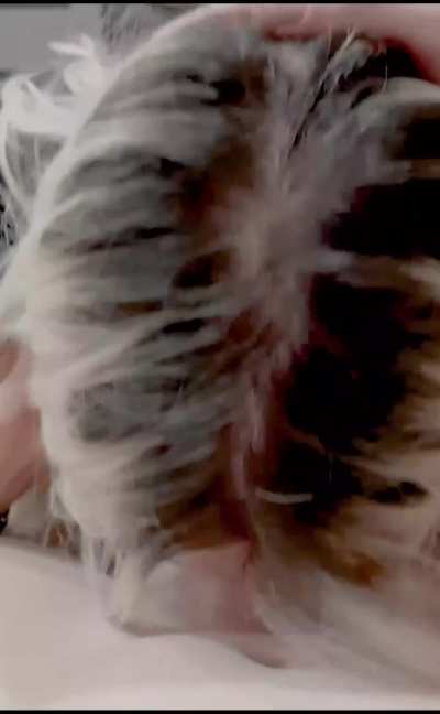 I like to keep sucking after the guys cum