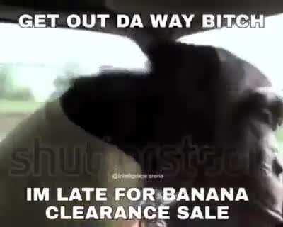 Monke drive good very