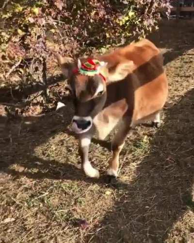 What a sweet baby.💗