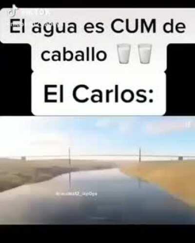 El Carlos