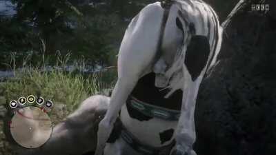 Welp, that was a bit of a balls up...