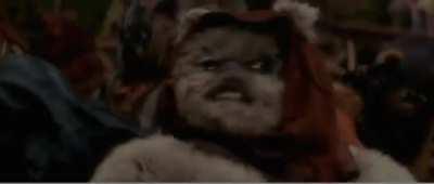 Bernie, tell them if they don't financially support, you'll become angry and use your magic.