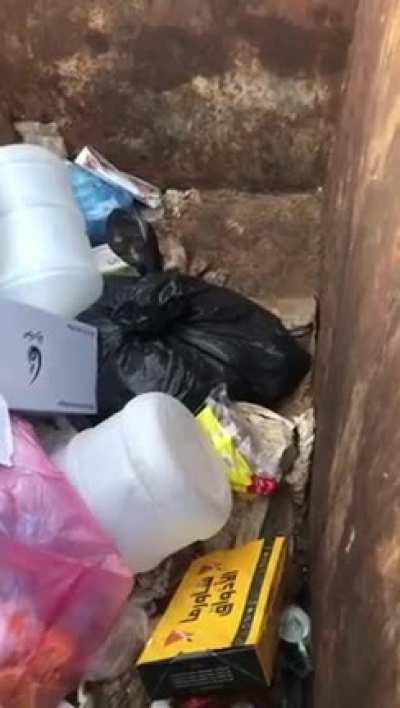 How degenerate and inhuman do you have to be to do something like this?!