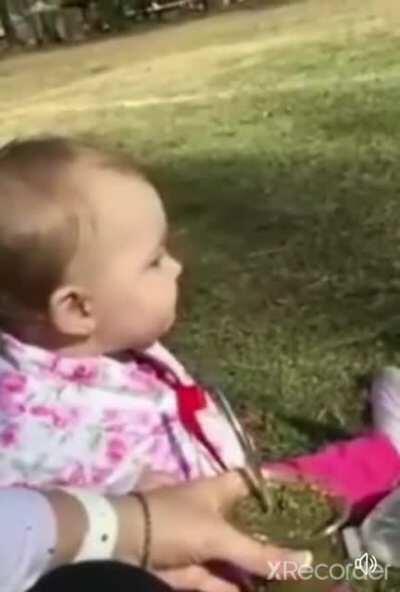 This is my favorite video of all time