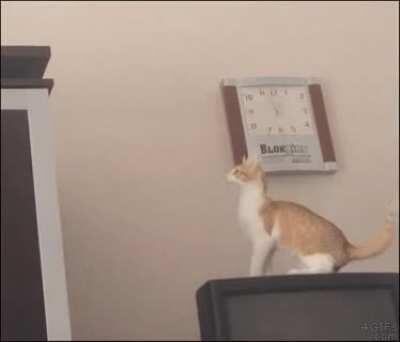 I can do this…I can do this…