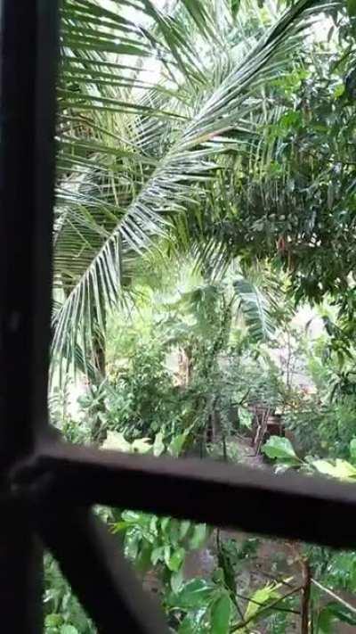 Perfect for reading <3