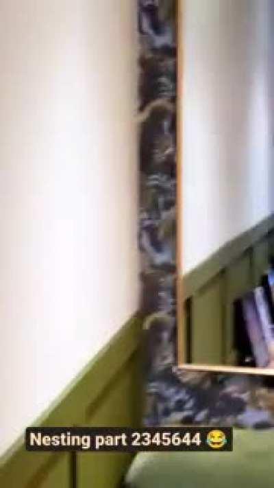 Ashley James Pregnant Bra and Panties