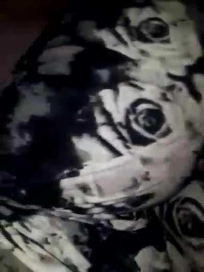 Just a vid of me needily moaning 😋 (also wet pussy sounds💦)