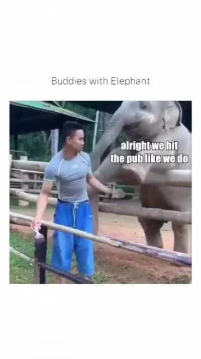 See ya at the pub buddy!