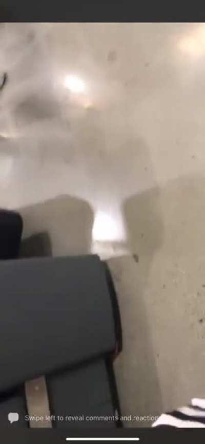 To walk off scot free without membership or mask