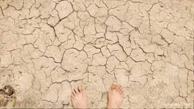 Watch My Feet (On Psychedelics)