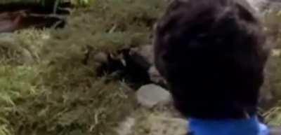 That’s the first option?