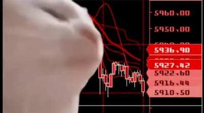 E lá vai a bolsa com a volta do Lula