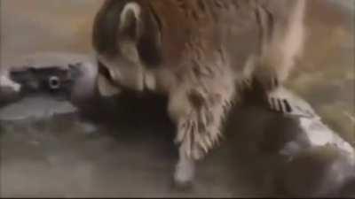 It gets me every time