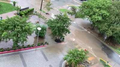 Flood in front of Terrapin Row after the storm yesterday