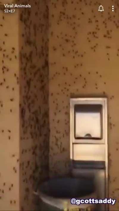 Cursed_PublicBathroom