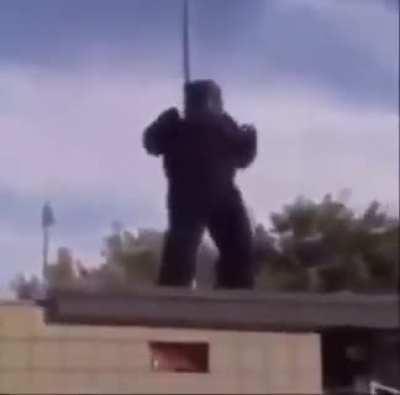 WWE jump on a monkey suit