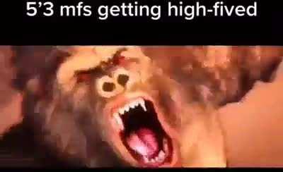 Shout out to vertically challenged kings and queens