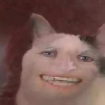 cool singing cat (he is cool)