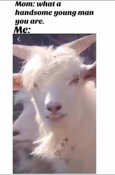 Hello darkness,my old friend.