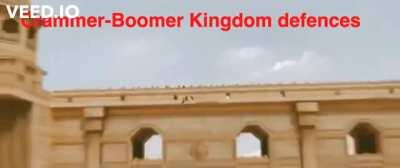 TSLA + PLTR literally going to MOOON, do not miss out !!!