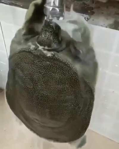 Oruçluyken duşa girerim babamın düşündüğü: