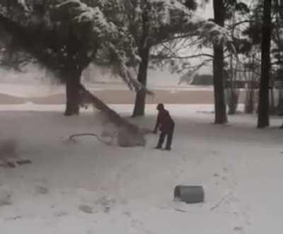 WCGW trying to play with a branch