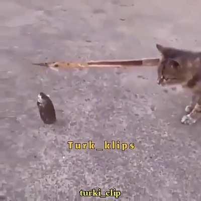 Video my dad sent me