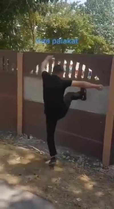 The fence goes omnomnom.