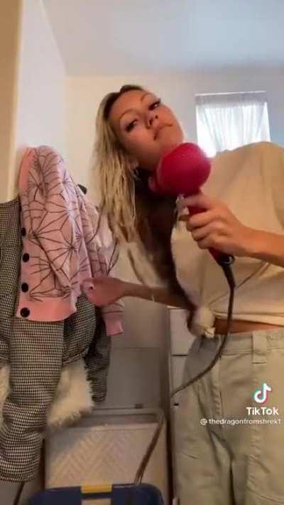 Dog won't let her blow dry her hair