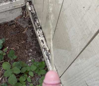 Marking My Garden, One Last Time🥹