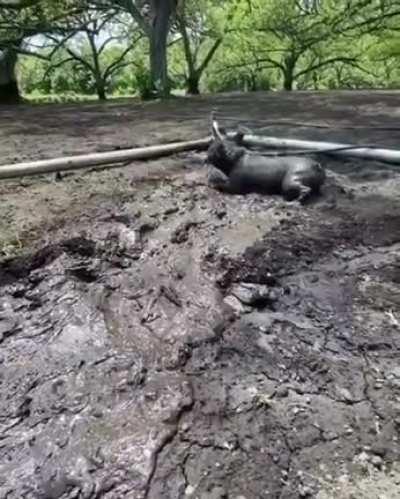 So who is he after that?