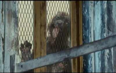 What my broker sees Monday morning after I paid my bills with my peasant-ass paycheck