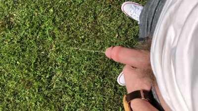 Just watering the grass 💦