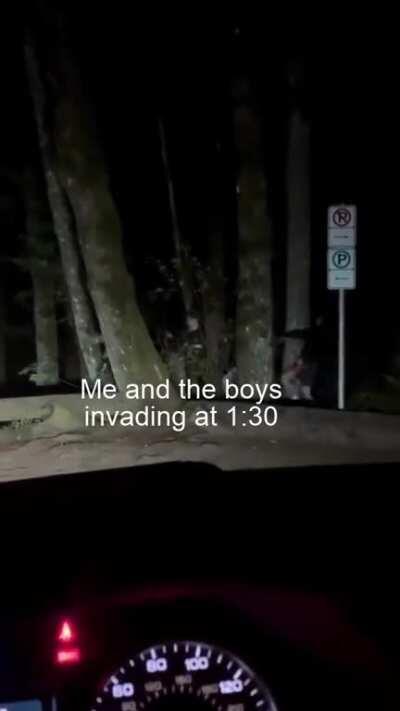 Credit to @alexminimart on TikTok for the original video