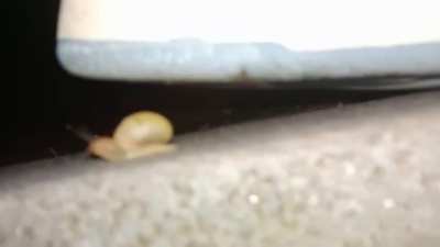 first shoes for sale