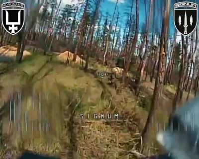 Ukrainian fiber-optic FPV drones of the SIGNUM Battalion hunted Russian logistics in the Lyman direction. 10.09.2025