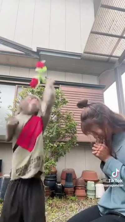 Macaco sigma 🗿🍷