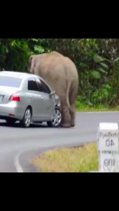 Call in the heavy hitter...