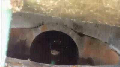 Awww, nobody wants to play with me.