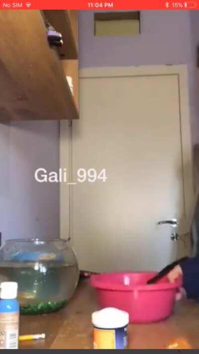 This video I saw on instagram . How r ppl so stupid honestly