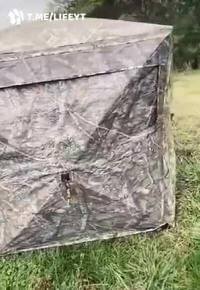 Взрыв мозга через 3, 2, 1...