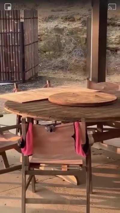 my friends after the feast