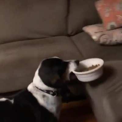 Даже подать не кому