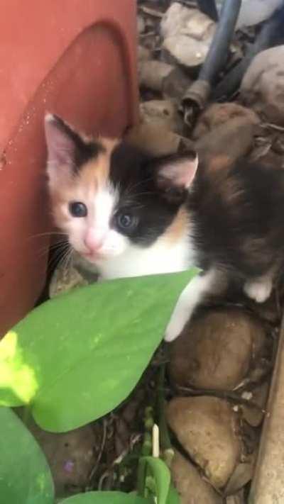 the first time she’s been out of her baby box