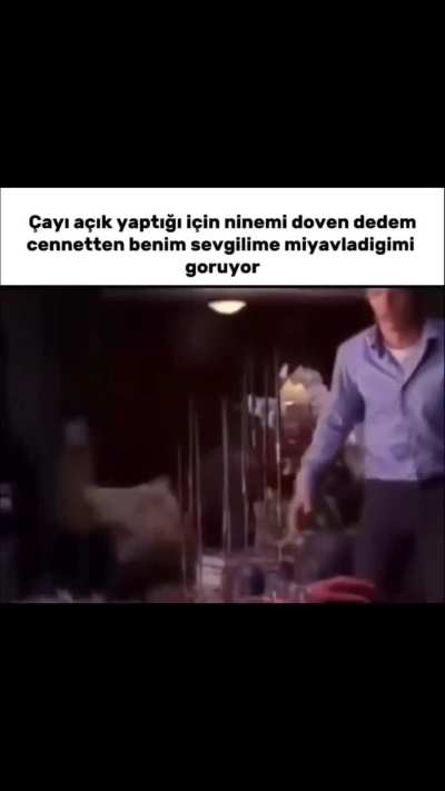 hayırrrr